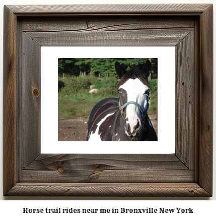 horse trail rides near me in Bronxville, New York